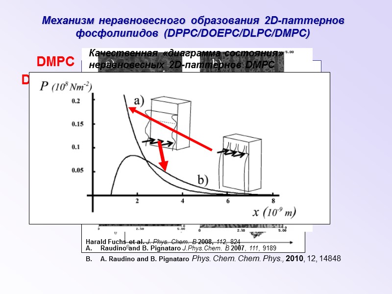 Механизм неравновесного образования 2D-паттернов фосфолипидов (DPPC/DOEPC/DLPC/DMPC)  Raudino and B. Pignataro Phys. Chem. Chem.
